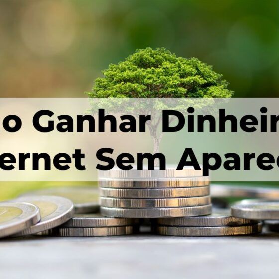 Como Ganhar Dinheiro na Internet Sem Aparecer