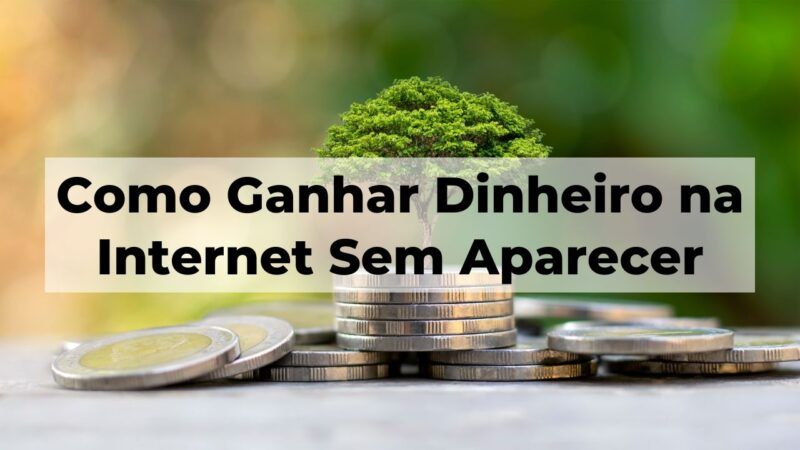 Como Ganhar Dinheiro na Internet Sem Aparecer